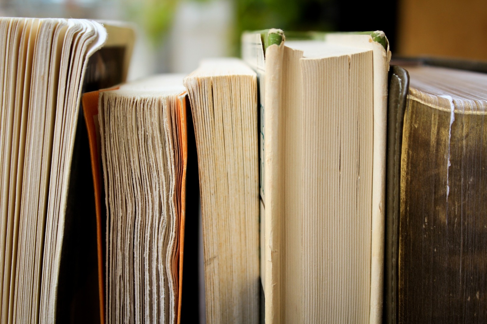 5 livros na Europa