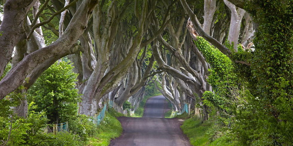 A estrada mais sombria da Irlanda!