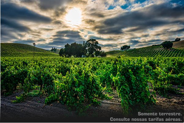 Rota dos Vinhos de Portugal