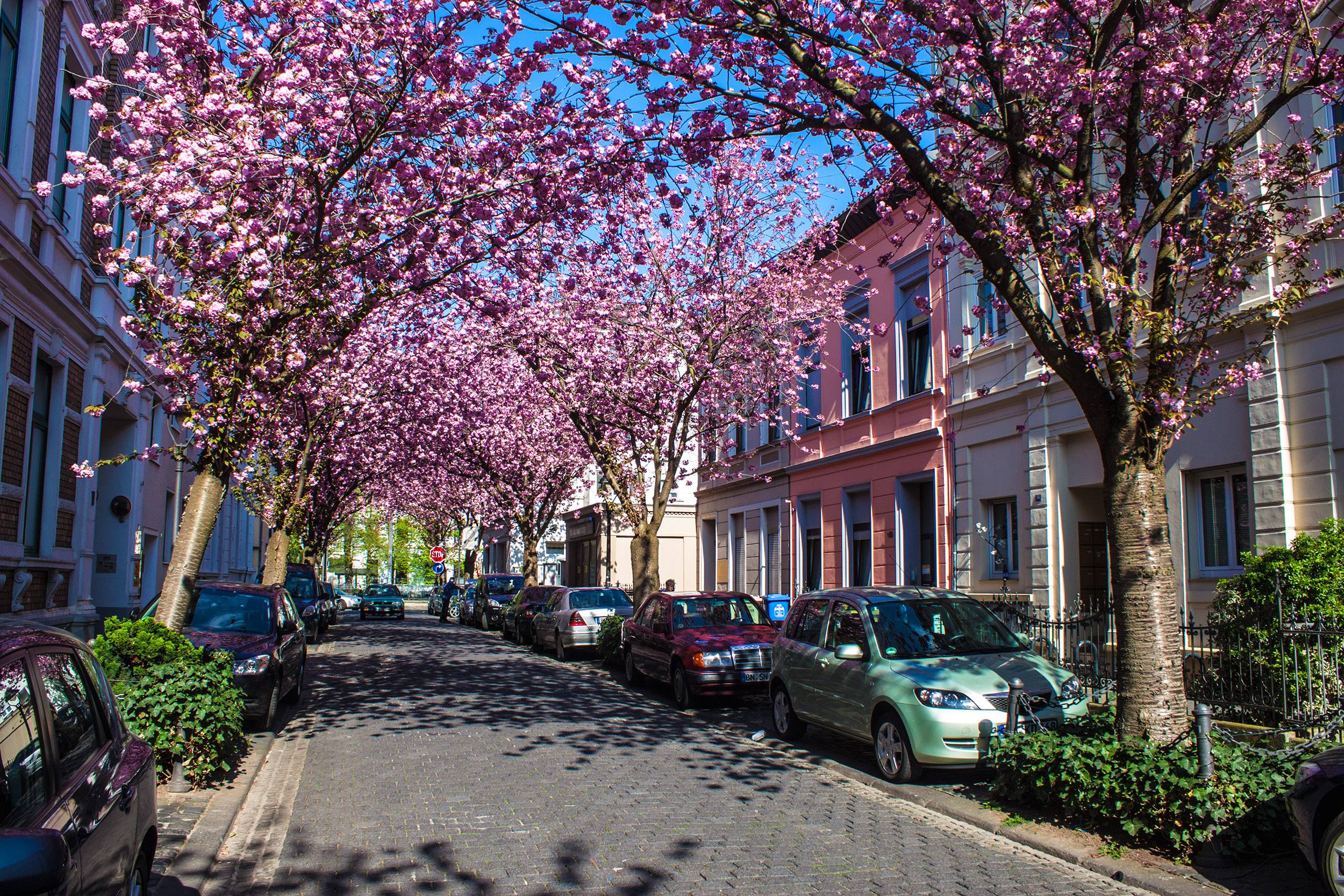 Bonn – Alemanha