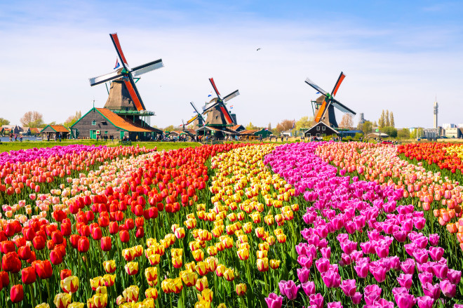 Lisse, Holanda